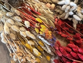 dried flowers 1