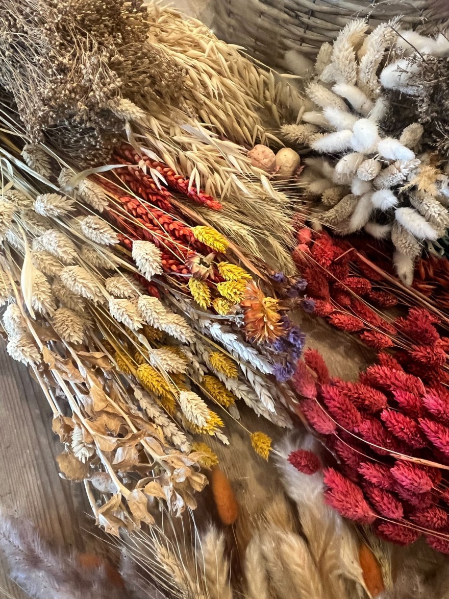 dried flowers 1
