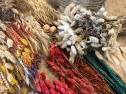 Dried flowers 4
